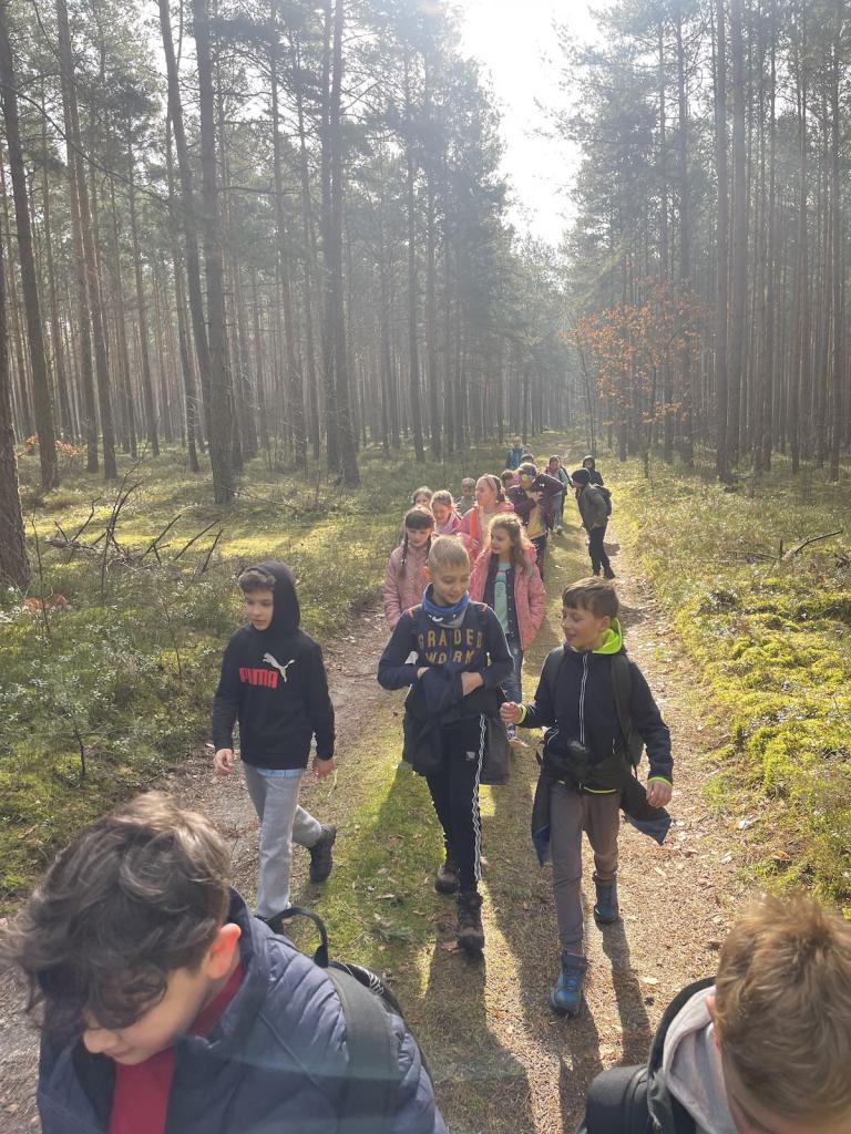 Uczniowie idący leśną ścieżką