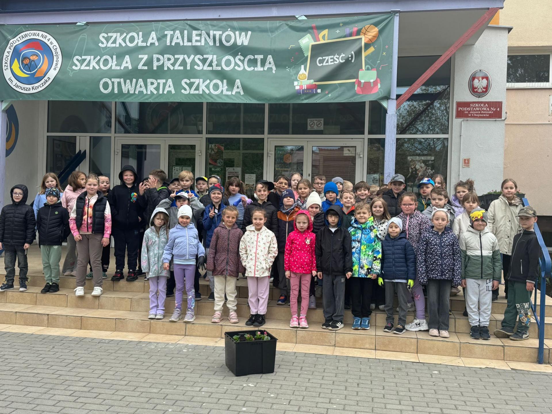 40 beginii40 begonii na 40. urodziny Czwórki