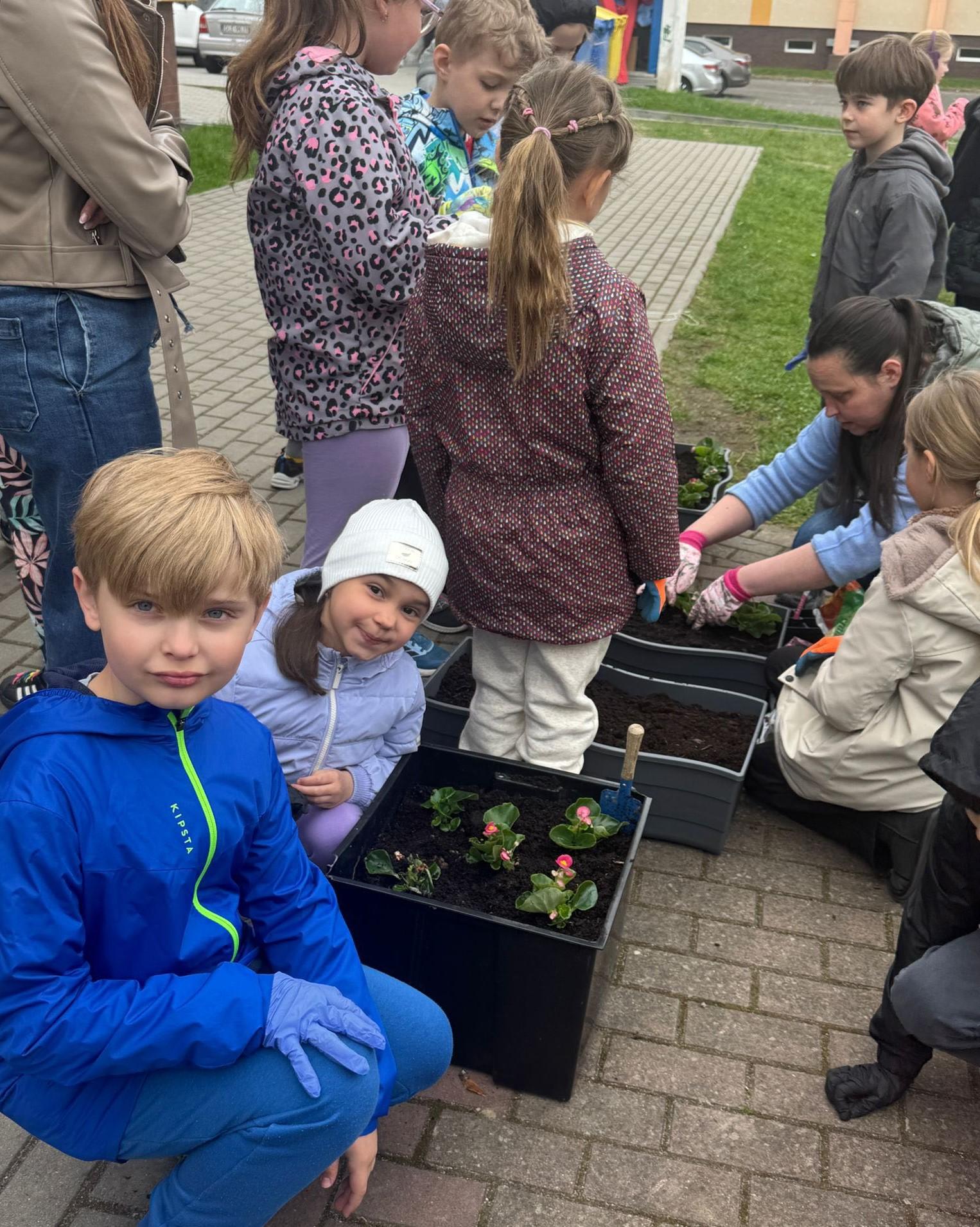 40 beginii40 begonii na 40. urodziny Czwórki