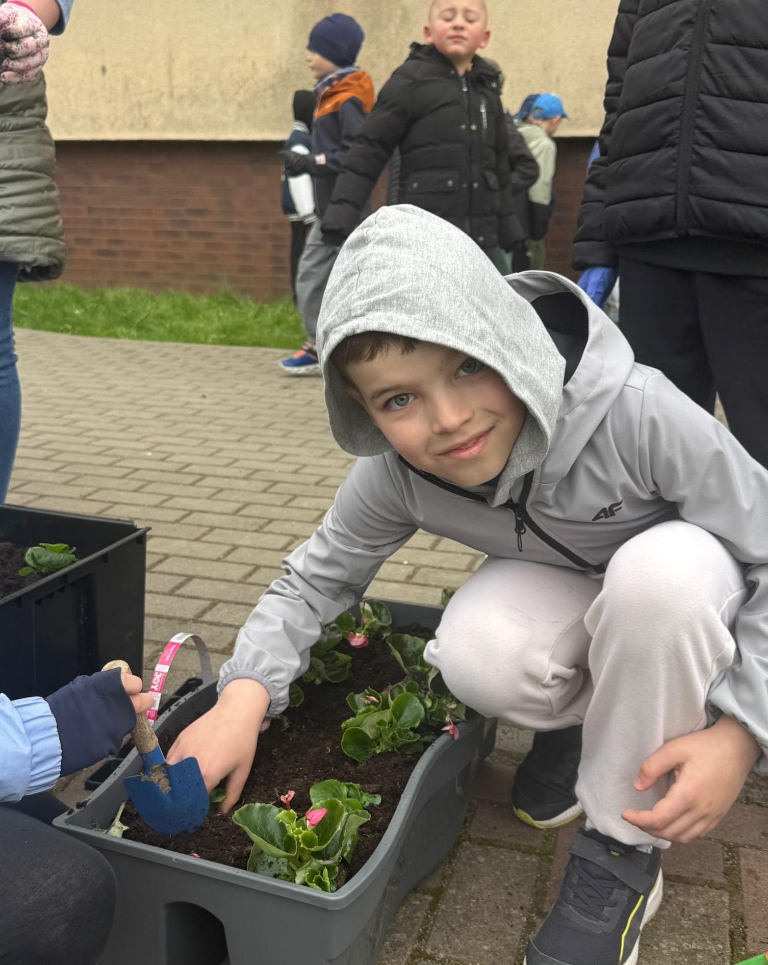 40 beginii40 begonii na 40. urodziny Czwórki