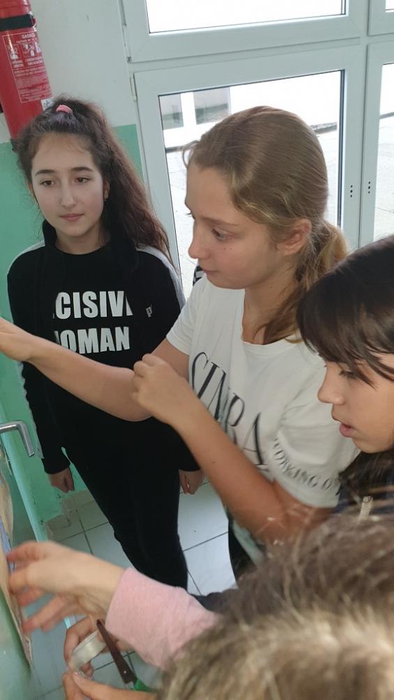 (szerokość: 565 / wysokość: 1004)