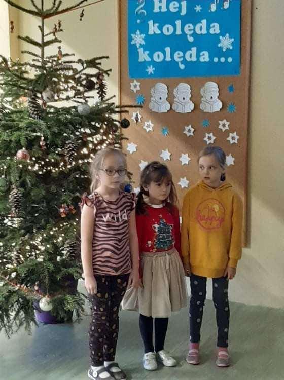 (szerokość: 560 / wysokość: 750)
